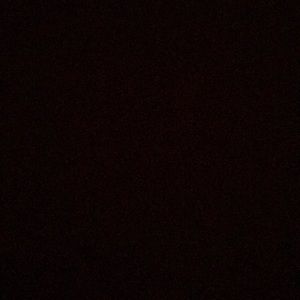 Meet your Posher, Lizeth